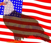 American Flag And Eagle Poster