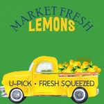 Lemon Truck Poster