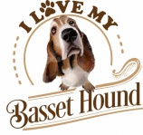 Basset Hound Dog Poster
