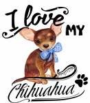 Chihuahua Dog Poster
