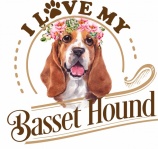 Basset Hound Dog Poster