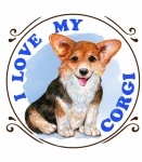 Corgi Dog Poster