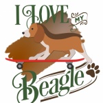 Beagle On Skateboard Poster