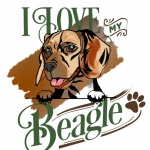 Beagle Dog Poster