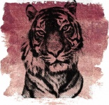 Halftone Tiger Digital Art