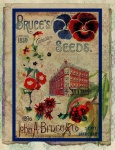 Vintage Seed Catalog Poster
