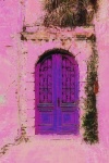Fine Art European Door Purple