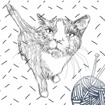 Cat With Yarn Sketch Illustration