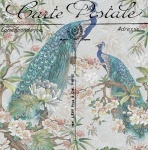 Vintage Bird And Floral Postcard