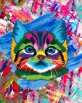 Colorful Kitten Face Illustration