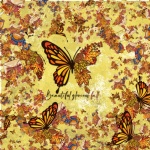 Autumn Fall Butterfly Poster