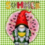Summer Watermelon Gnome