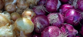 Yellow And Red Onions