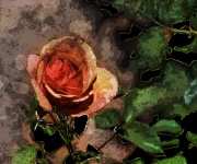 Digital Oil Painting Rose
