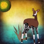 Zebra Legs Okapi Animal