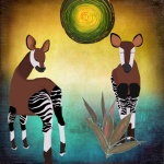 Zebra Legs Okapi Animal