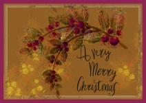 Christmas Holly Berry Branch Card