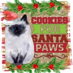 Christmas Cat Cookies Santa Art