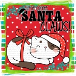 Christmas Cat Santa Poster