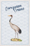 Crane Bird Poster