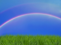 Landscape Meadow Sky Rainbow