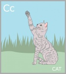 Letter C, Cat Alphabet