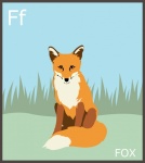 Letter F, Fox Alphabet