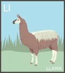 Letter L, Llama Alphabet