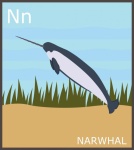 Letter N, Narwhal Alphabet