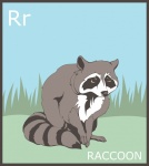 Letter R, Raccoon Alphabet