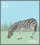 Letter Z, Zebra Alphabet