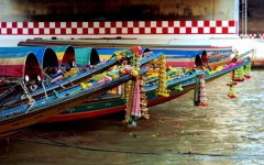 Long-tailed Boats
