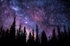 Milky Way Starry Sky Trees