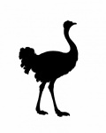 Ostrich Silhouette Clipart