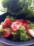 Plate With Tomato Salad