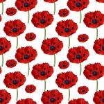 Poppy Flowers Wallpaper Background