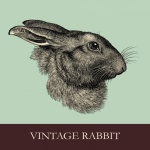 Rabbit Head Portrait Illustration
