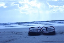 Sandal In The Beach
