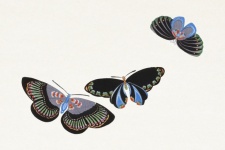 Butterflies Watercolor Painting