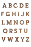 Scrapbooking Alphabet Letters