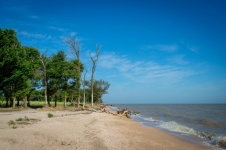 Sea Of Azov, Forest, Trees