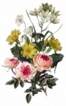 Sketched Floral Illustration Art
