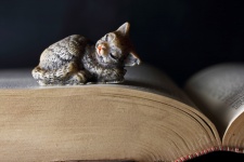 Sleeping Cat Figurine On Open Book