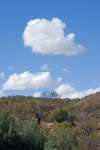 South African Landscape With Sky
