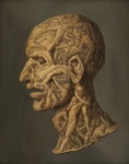 The Head Of A Man
