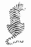 Tiger Stripes Illustration Clipart