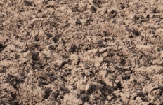 Drought Drought Earth Soil