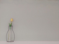 Vase And Flower Against Gray Wall