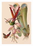 Vintage Hummingbird Bird Flowers