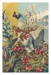 Vintage Art Floral Butterflies